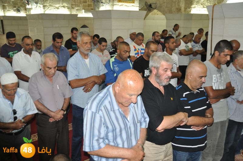 mohadaraa lud kaver 803 (11).JPG